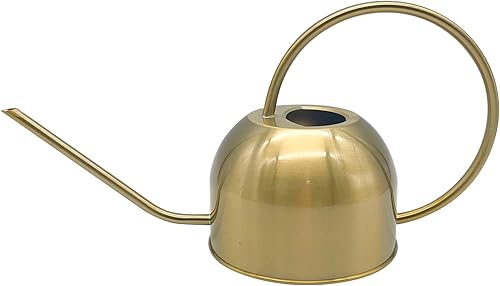 Hamiledyi Regadera de acero inoxidable de 50 onzas  50.7 fl oz con boquilla larga, regadera de metal para interiores y exteriores, regadera de