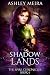 Shadowlands: a New Adult Urban Fantasy Novel (The Spire Chronicles Book 4)
