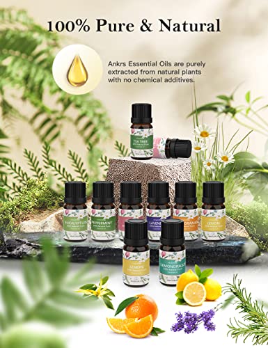 Ankrs Essential Oil Set Of 10 Natural Pure 1/3Oz Aroma Oils For Diffusers, Home, Gift - Tea Tree, Eucalyptus, Peppermint, Lemon, Orange, Lemongrass, Lavender, Rose, Ylang-Ylang, Vanilla Oil #TOP4