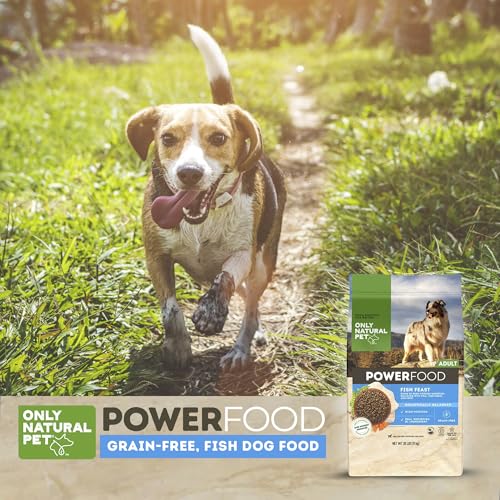 Image of Only Natural Pet PowerFood Fish Feast Grain-Free Dry Dog Food w /Wild-Caught Whitefish, Pumpkin & Superfoods - High Protein, Low Carb Recipe for Small to Large Breeds, Adult to Senior - 20 lb Bag