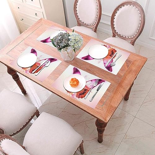 Sets de table de cuisine lavables pour éliminer les taches et rayures