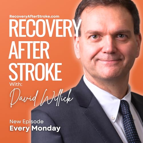 380. David Willick on Life with Invisible Fatigue After Stroke Podcast Por  arte de portada