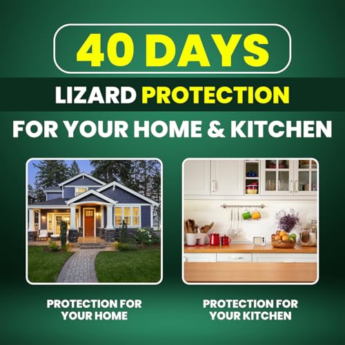 Image of Repl Lizard Repellent Spray(250ml*2) |Powerful Indoor & Outdoor Protection Up to 40 Days |Peppermint Oil Formula |Keeps Lizards Away Naturally |Safe for Kids, Pets & Family |Non-Toxic & Easy to Use (PACK OF 2)