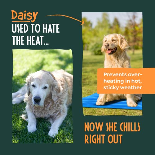 Large Gel-Cooling Mat for Dogs and Cats - Easy-Fold 90x60cm