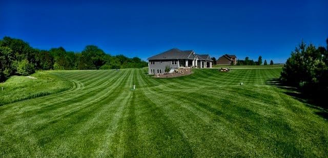 Miniatura 7 de Tuff Turf, festuca alta y pasto azul de Kentucky, de pleno sol a sombra más pesada, ideal para zonas de tráfico superior, bolsa de 5 libras