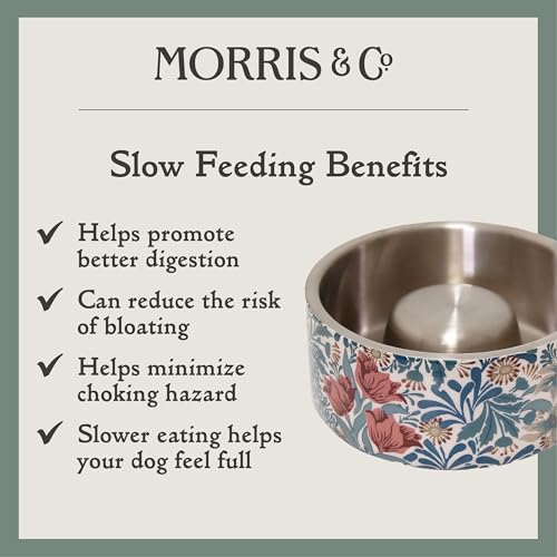 Rosewood x Morris & Co. Bower Berry Slow Feeder Bowl for Dogs Blue, Durable Stainless Steel Dog Bowl, Aids Digestion - Image 4
