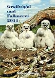 Greifvögel und Falknerei: Jahrbuch des Deutschen Falkenordens 2011
