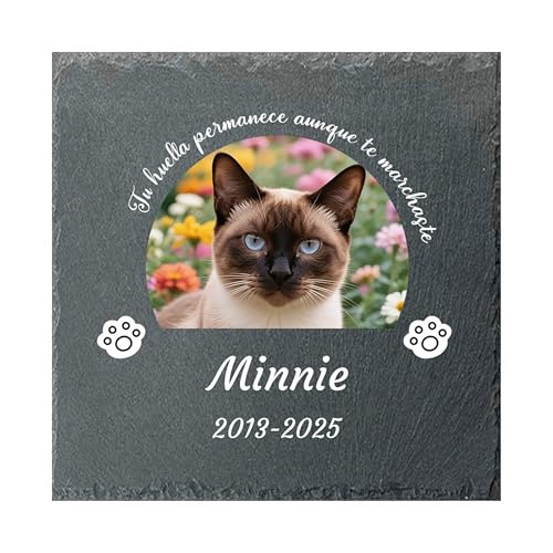 Umitive Lápida Personalizada para Mascotas – Placa Conmemorativa Grabada para Gato, Regalo de Pésame por Pérdida de Mascota, Decoración de Jardín con Foto, En Memoria de Tu Mascota (Style C)