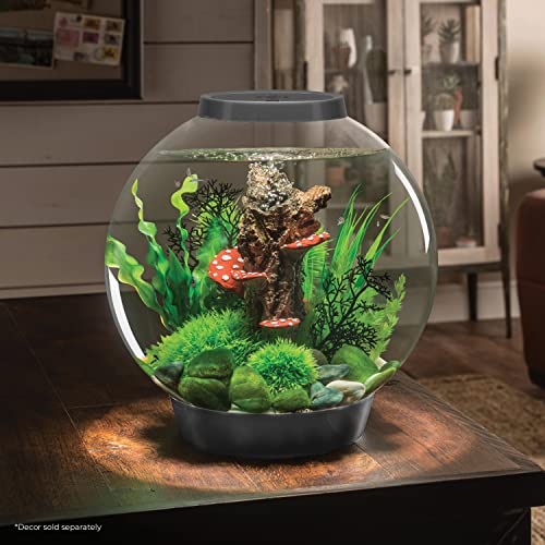 Image of biOrb Classic 30 Acrylic 8-Gallon Aquarium with White LED Lights Modern Tank for Tabletop Display, Silver