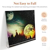 Lifewit Floating Shelves for Vinyl Record, 6 Pack 12" Clear Plastic Wall Shelf Room Decor for Book/Photo/Picture/Makeup Display in Bedroom, Living Room, Bathroom Storage and Organization - Image 5