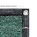 SUNNY GUARD Privacy Screen Fence 6' x 50' Dark Green Heavy Duty Dustproof Denoise Fencing Mesh Fabric Shade Net Cover for Outdoor Wall Garden Yard Pool Deck(We Make Custom Size)