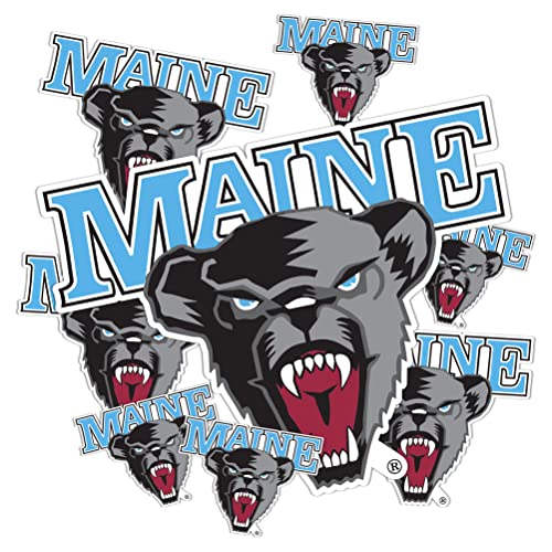 Desert Cactus Maine Black Bears Sticker Decal (T3-1)