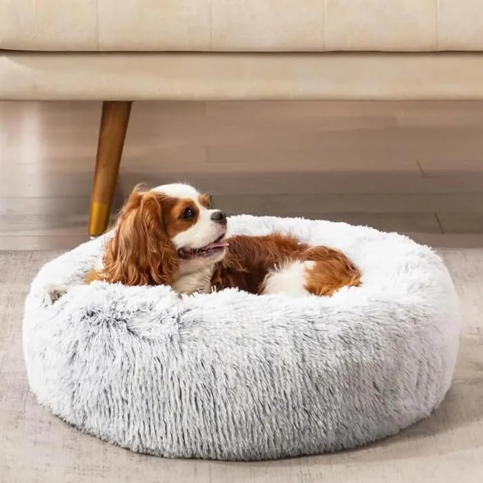 SWZEC Hundebett Wolke 7 - Das Original - Puppery (M-60CM,Hellgrau)