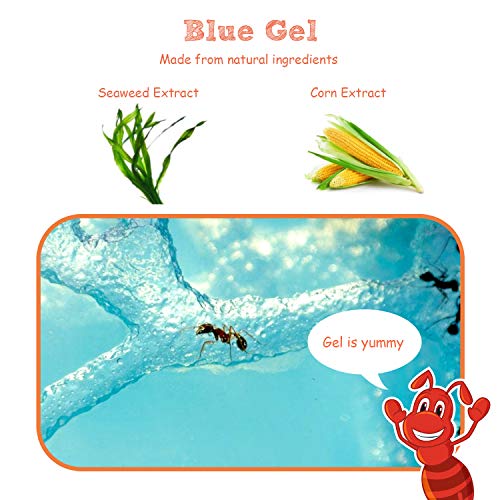 NAVADEAL Ant Farm Castle 2.0 with Connecting Tube, Ant Habitat Science Learning Kit, Best STEM 2021 Educational Kids Toy, Study Insect Behavior at Home & School, Plant Based Blue Gel 3D Maze Ecosystem - Image 5