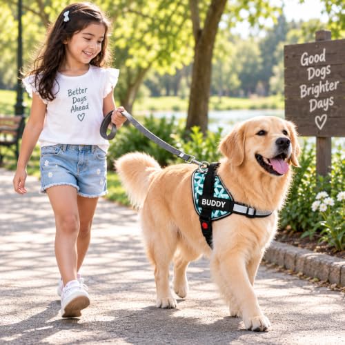 Image of 3D Cube Dog Vest Harness with Leash - No Pull, Reflective & Adjustable