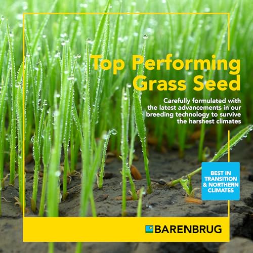 Grass Seed Blends For Sandy Soil And Beach Properties