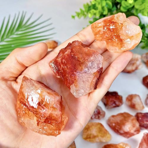 Crea acquari vivaci: aggiungi rocce grezze e colorate agli acquari per creare un paesaggio sottomarino naturale