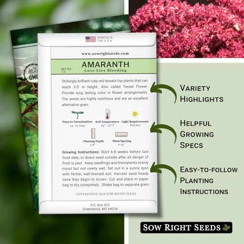Sow Right Seeds - Love Lies Bleeding Amaranth Seeds for Planting - Non-GMO Heirloom Variety - Stunning Red Blooms - Easy to Grow Garden Annual - Ideal for Landscaping and Ornamental Use (1)