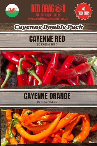 Cayenne Chilli Seeds Double Pack - 40 Fresh Cayenne Chilli Seeds - Red and Orange Cayenne Seeds
