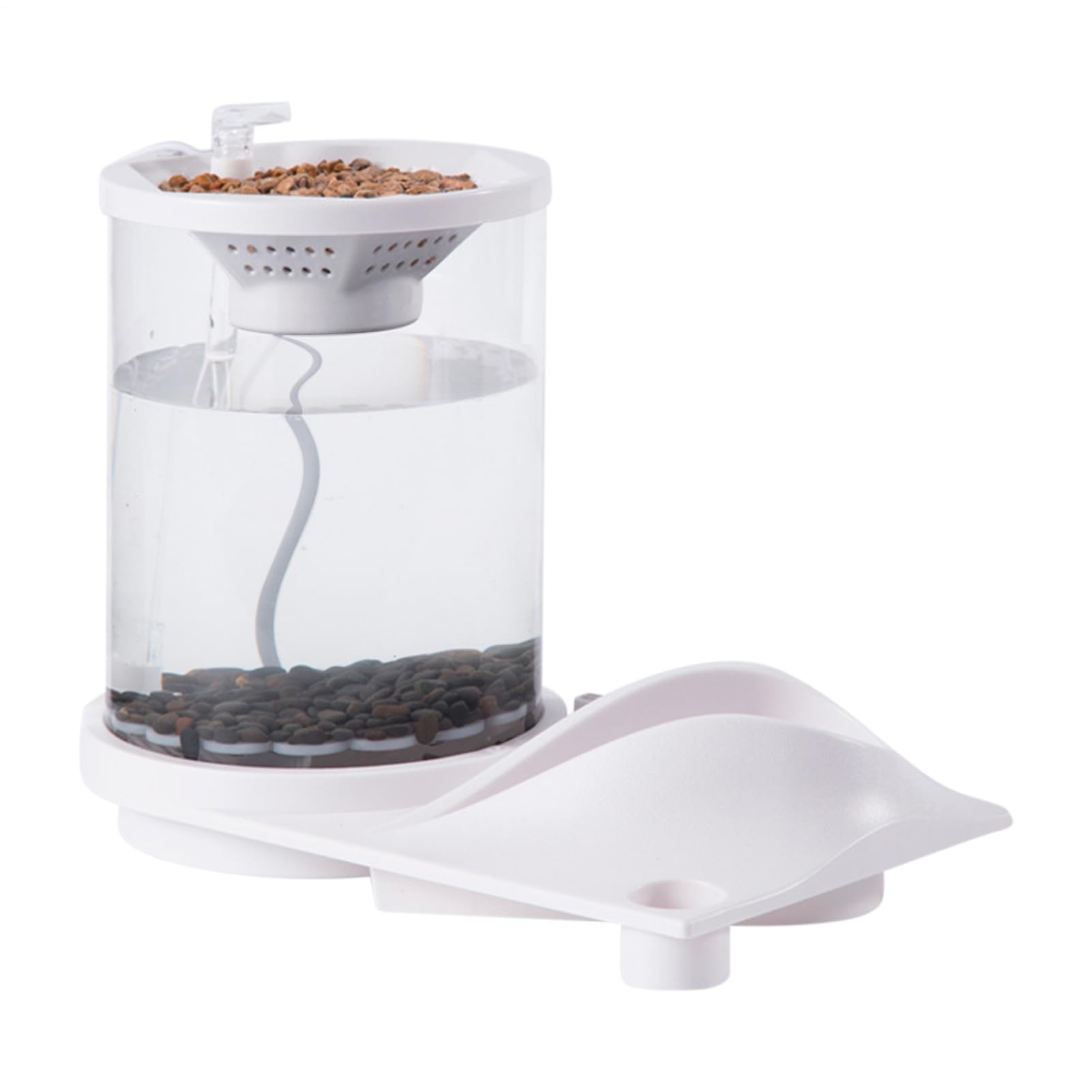 Aquarium Betta pour lieu de travail : bocal à poisson autonome et relaxant avec filtre