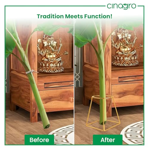 Image of CINAGRO Gold Banana Plant Stand - Pairs (Left & Right) for Pooja & Mandir Decor, Rust-Resistant Durable Metal Stand for Banana Stems, Leaf Holder for Temple, Home Festival Decoration Use