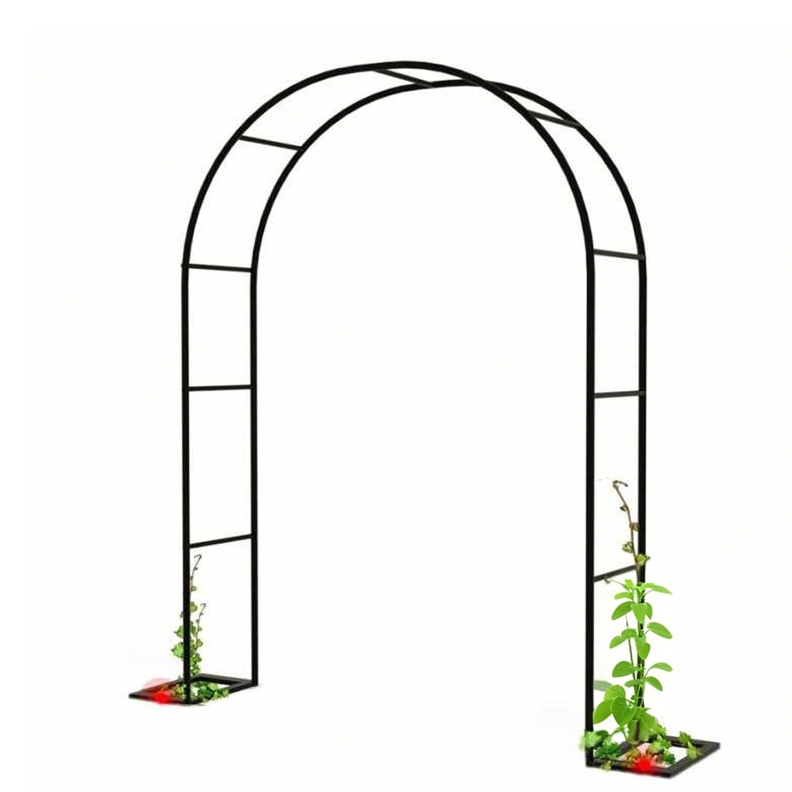 Arche de jardin haut de gamme en acier durable pour décoration de terrasse