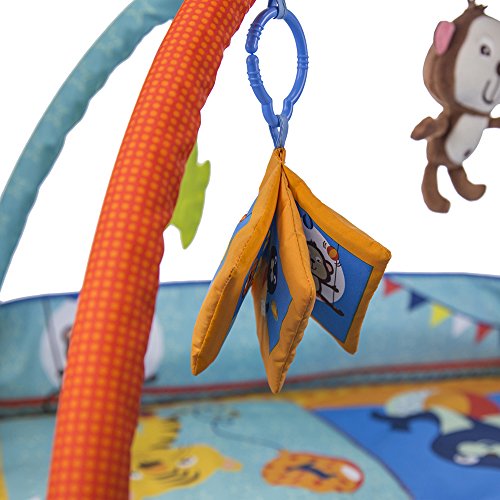 Tapete Ginásio Discovery Cosco - Circus