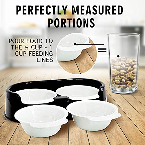 Rapid Brands Cali Pets Clean Feeder with Replacement Bowls | No-Mess Food Bowl for Cat & Small Dog | Dishwasher-Safe & BPA-Free