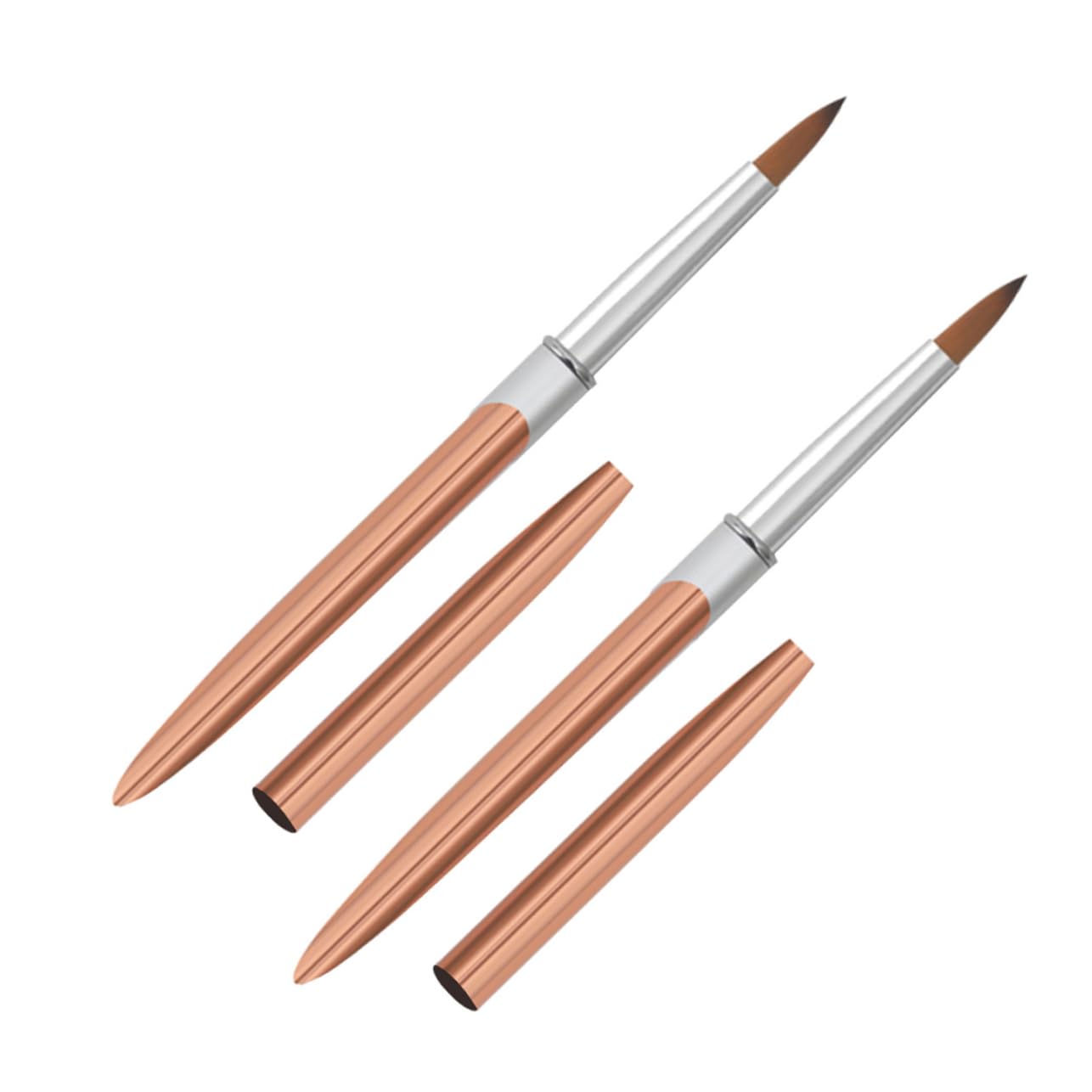 WOFASHPURET 2Pcs Nail Art Brush with Metal Handle Durable Fingernail Painting Pens for Fine Line Designs Lightweight and Portable Nail Art Tools for Beginners and Professionals