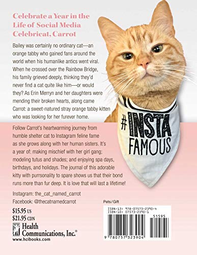 Diary of the Cat Named Carrot