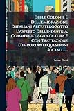  Delle Colonie E Dell\'emigrazione D\'italiani All\'estero Sotto L\'aspetto Dell\'industria, Commercio, Agricoltura E Con Trattazione D\'importanti Questioni Sociali ......