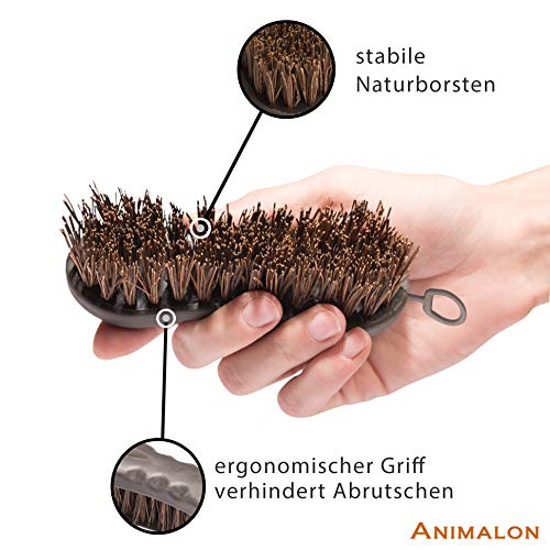 Animalon Hufbürste für Pferde | Harte Naturborsten für Pflege | Extraklasse Bürste | Kleine Wurzelbürste für jede Putzbox