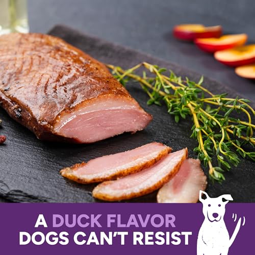 Cloud Star Wag More Bark Less 10 oz Grain Free Jerky Dog Treats with Duck & Apple - Thumbnail 5