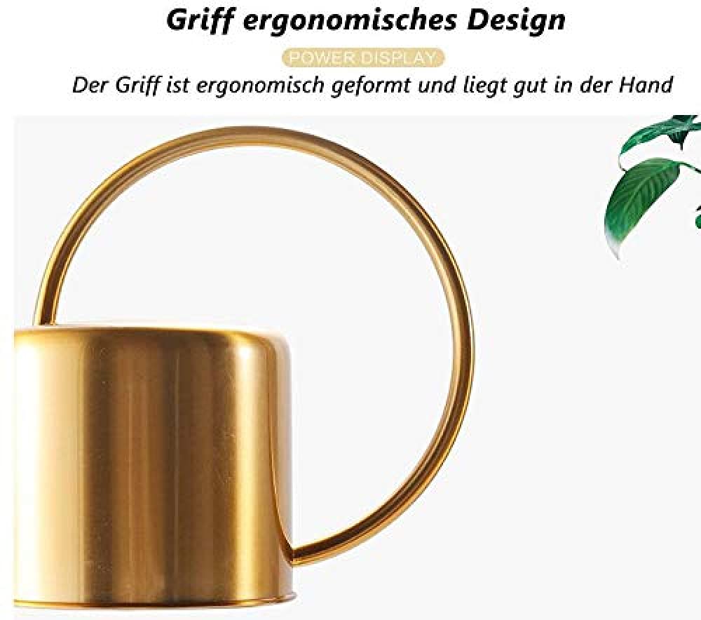 CLQ Gießkanne Aus Edelstahl - Gartengießkanne Mit Langem Hals Für Familie, Büro, Topfpflanzen-1500ml