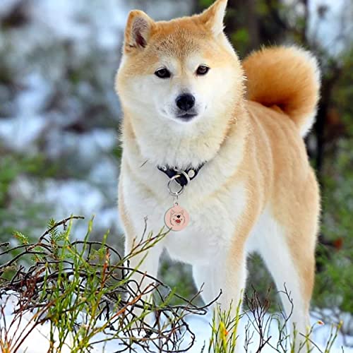 Kinyablue Print Round Stainless Pet Id Tags,Personalized Dog Tags, Front&Back Up To 4 Lines Of Text, Custom Dog Tags,For Pug, Small Size #TOP6