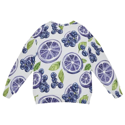 JUNZAN Art Bilberry Fruit Silver Big Girls Sweatshirt Hoodie Crewneck Fall Tops Shirts Athletic 4T2