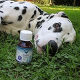 marsavet+ Calm – Ergänzungsfuttermittel mit Katzenminze für Hunde, Katzen, Nager & Vögel – Zur Unterstützung des Wohlbefindens in stressbedingten Situationen – 100 ml