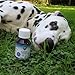 marsavet+ Calm – Ergänzungsfuttermittel mit Katzenminze für Hunde, Katzen, Nager & Vögel – Zur Unterstützung des Wohlbefindens in stressbedingten Situationen – 100 ml