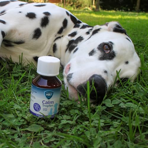 marsavet+ Calm – Ergänzungsfuttermittel mit Katzenminze für Hunde, Katzen, Nager & Vögel – Zur Unterstützung des Wohlbefindens in stressbedingten Situationen – 100 ml