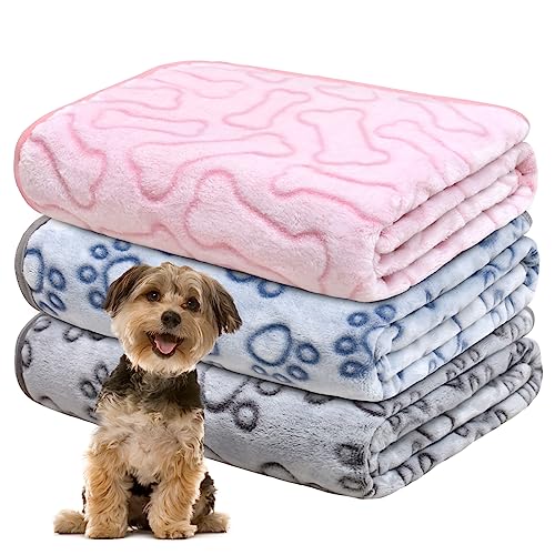 Gorgelly 1 Pack 3 Hundedecke, Weiche Haustierdecke Waschbar, Kuscheldecke Flauschig für Kleine Mittlere Hunde Katzen, Sofaschoner für Hunde, Hundedecke für Unterwegs, 60x50 cm