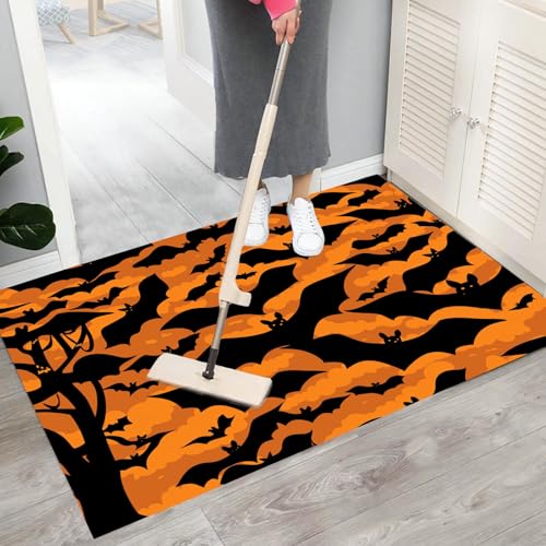 Paillassons pour entrée intérieur 80x120 cm décoration cuisine lavable
