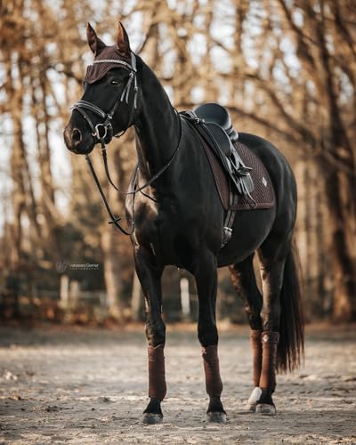 Equimour Dressurschabracke Pure Chocolate – Satin Schabracke für Pferde, anatomisch, atmungsaktiv mit Bamboo Lining & Glitzerborde, veganes Leder-Patch, edles Reitzubehör für Dressur