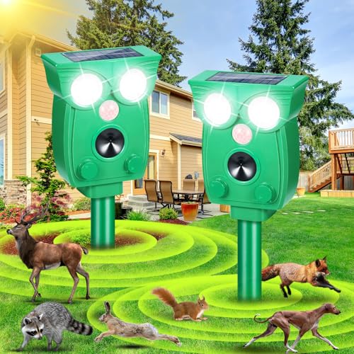 g O  h  L ACO} ETM  XJN }~ ̌m R[e}~ (2pbN)