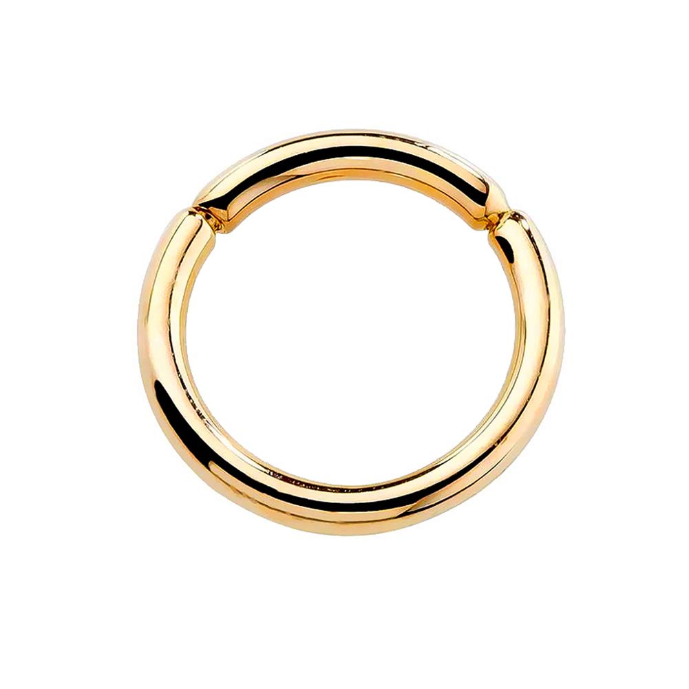 COCHARM14K Solid Gold Seamless Nose Ring 16G Septum Rings 18G Hinged Segemnt Ring Body Piercing Rings, Metal, cubic-zirconia,