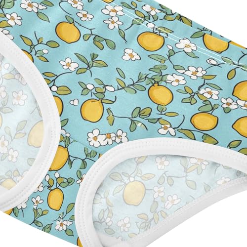 Wusikd Cute Lemon Girls' Underwear Cotton Light Blue Girls Briefs Soft Toddler Underwear 2T4