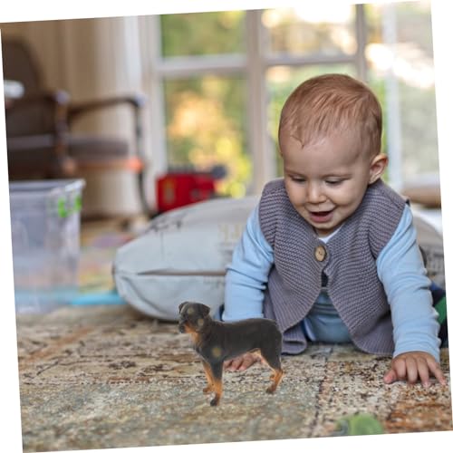ROMISBABA Rottweiler Spielfigur Aus Kunststoff Realistisches Simulationshundemodell Für Kinder Zimmerdeko Lernspielzeug 3.5 Zoll Detailgetreu Sicher
