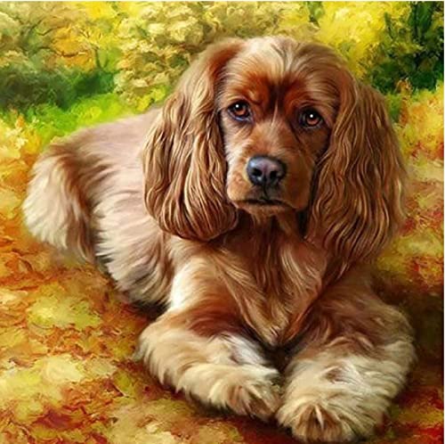 Cadeau amusant peinture au diamant 5D adultes motif Cocker