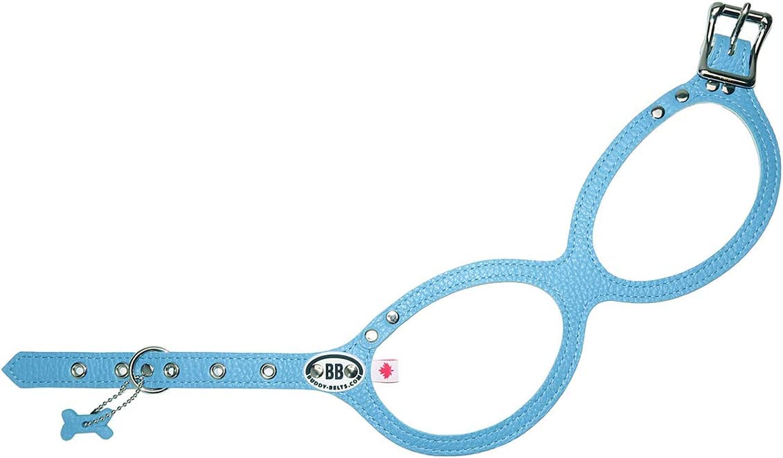 BUDDY BELTHarness Pebble Grain Blue - Premium Edition (2)