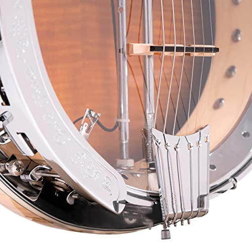 Gold Tone Gt-750 Banjitar Deluxe Banjo (Six String, Rosewood) #TOP3