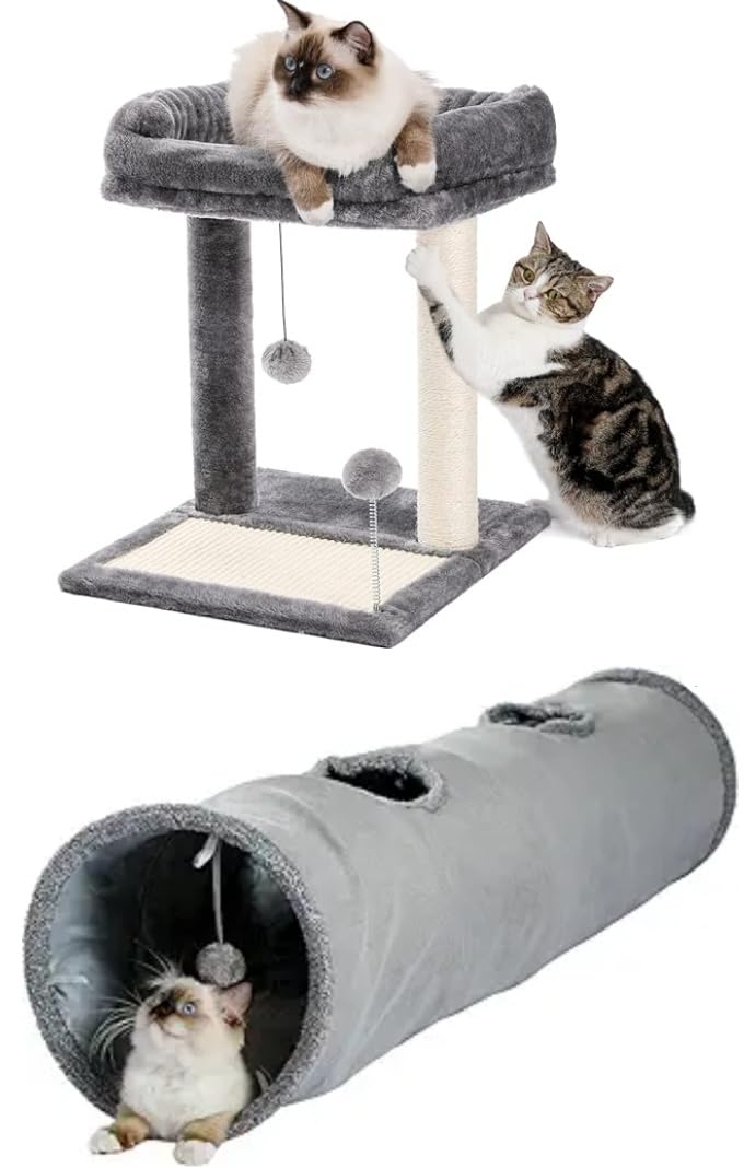 PAWZ Road Cat Scratching Post Bed Bundle with PAWZ Road Cat Tunnel 51 Inches Long Cat Toys Collapsible Tunnel 12 Inches in Diameter